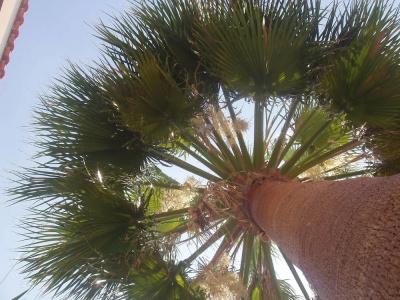 Paradise - 263