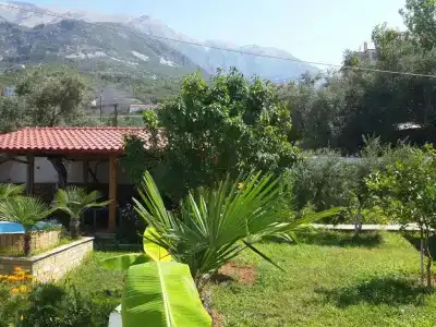 Yard Paradise - 23