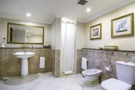 Grand Excelsior - 110