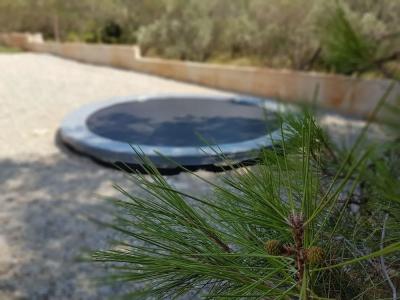 Bed and Breakfast Sunce - 13