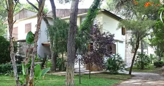 b&b Viale Dei Pini - 15