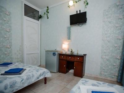 Guest House Green Oasis + - 14