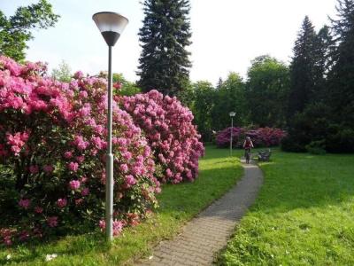 Spa Libverda - Nový dům - 23