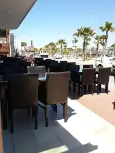 Lion Didim - 11