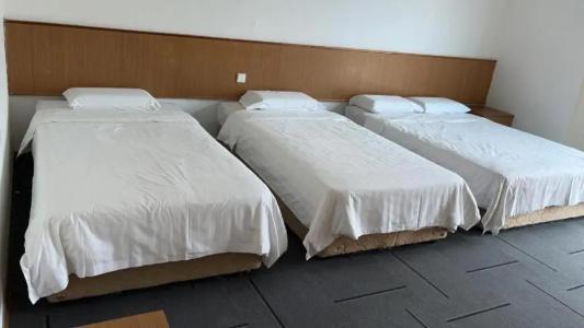 New Cape Inn (Sg Clean) - 50