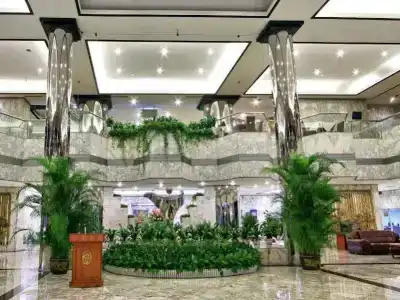 Kinkey Oriental Regent - 1