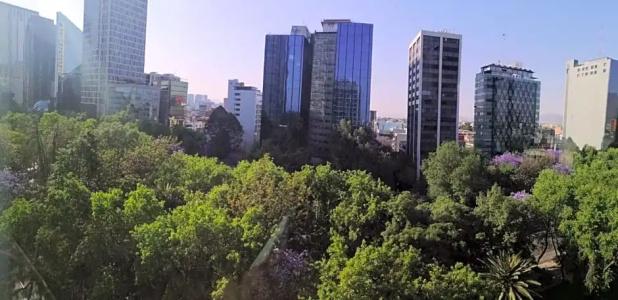 Holiday Inn Express Mexico Reforma - 67