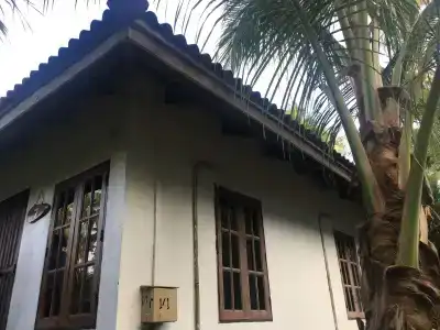 Koh Neverland Beach - 0