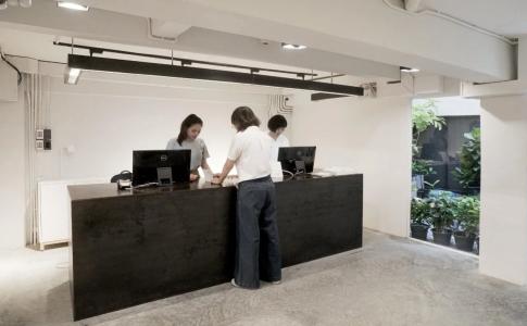 Chocolate box mint - 13