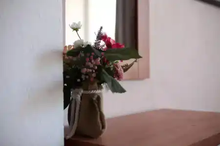 Stefo Sweet Home - 22