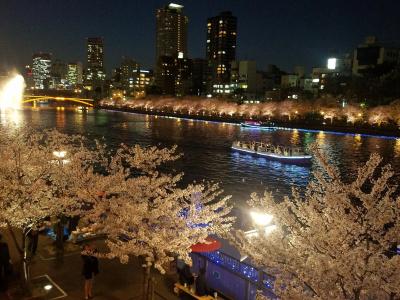 Osaka Castle - 47