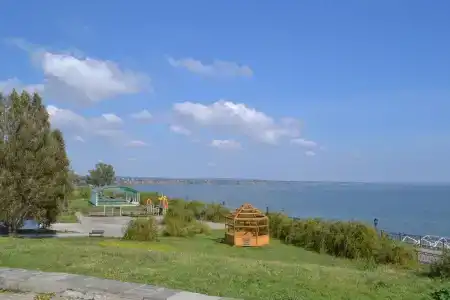 Тополь - 12