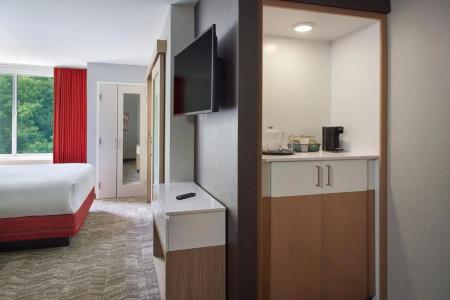SpringHill Suites by Marriott Atlanta Northwest - 1
