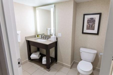 Hilton/ Fallsview and Suites - 46
