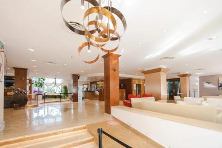 Le Palme - 1