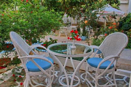 Vasia Boulevard (Adults Only) - 12