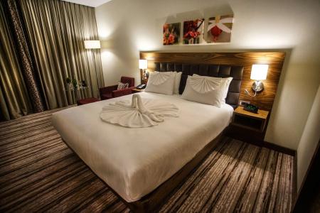 Hilton Garden Inn Eskisehir - 3