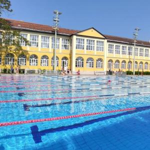 Budapest Csaszar - 17
