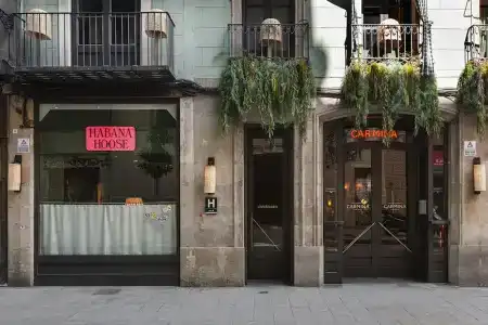 chic&basic Habana Hoose - 0