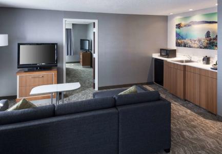 SpringHill Suites by Marriott ParkCenter - 4