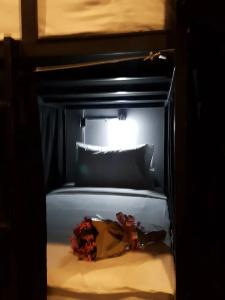 Slumber Party Hostel Phuket - 10