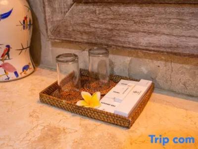 Alam Puri Art Museum Resort & Spa - 46