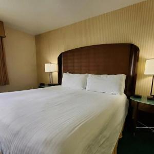 Rogue Regency Inn & Suites - 38