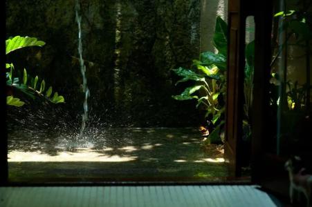 Reef Villa and Spa - 139