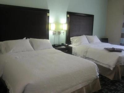 Hampton Inn & Suites Nashville at Opryland - 97