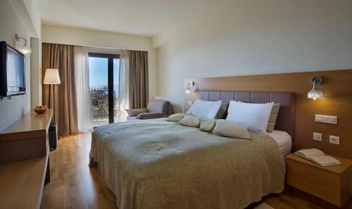 Domotel Anemolia Mountain Resort - 77