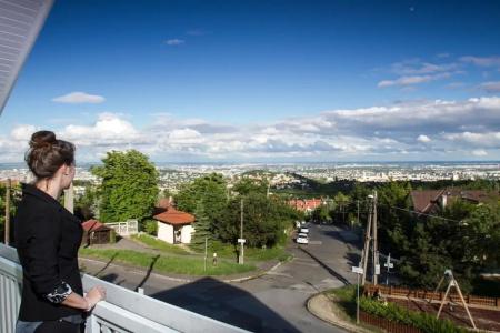 Molnár - 29