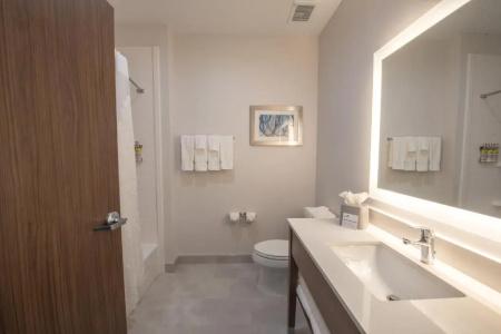 Holiday Inn Express & Suites - Houston Westchase - Westheimer, an IHG - 52