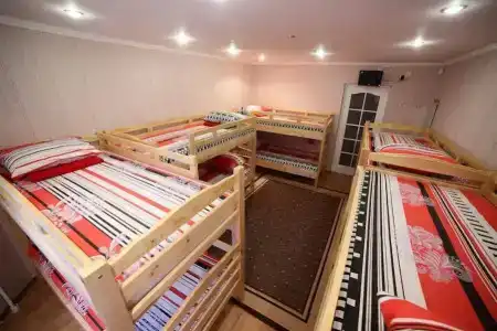 VIVA hostel  - 9