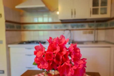 Residence Il Castagno - 51
