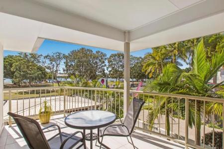Noosa River Palms - 45