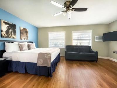 The Palms - 15