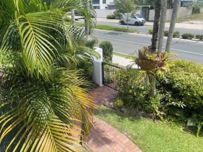The Noosa - 252