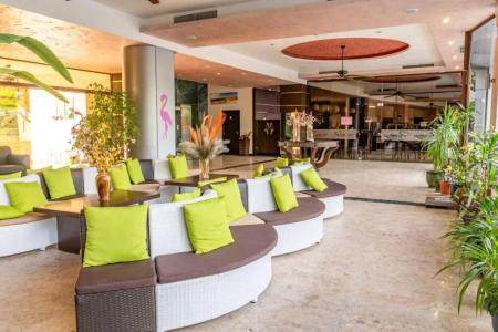 Flamingo - All Inclusive light - 18