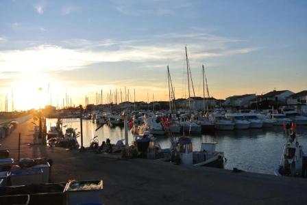Les Palmiers En Camargue - 15