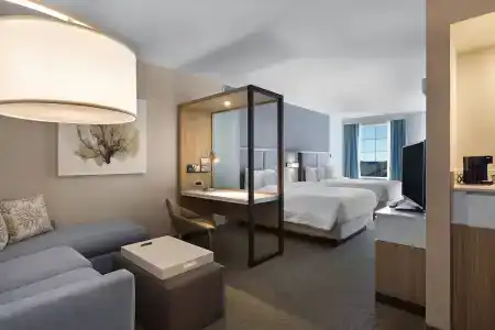 SpringHill Suites by Marriott - 53