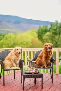 Wilburton Inn - 204