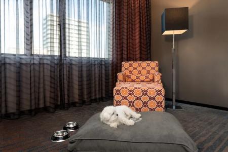 Sheraton Essen - 64