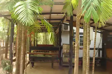 Sam's Jungle - 11