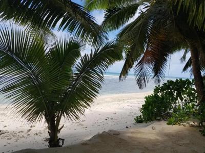 Anse Kerlan Beach Chalets - 5