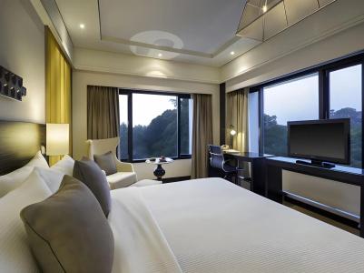 The Raintree, St. Mary’s Road - 21