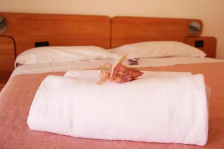 Albergo Al Viale - 77