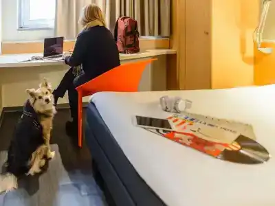 Ibis Milano Centro - 42