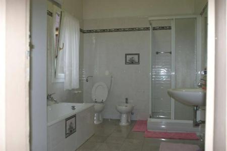 Panorama - 8