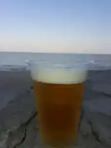 Гостевой дом на ул. Безуха - 2