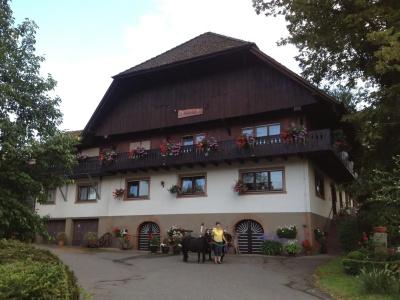 Mattenhof - 11